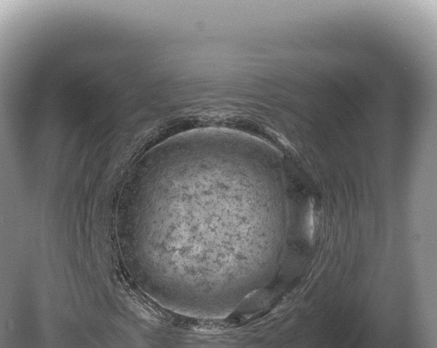 X0000081471153200701191758