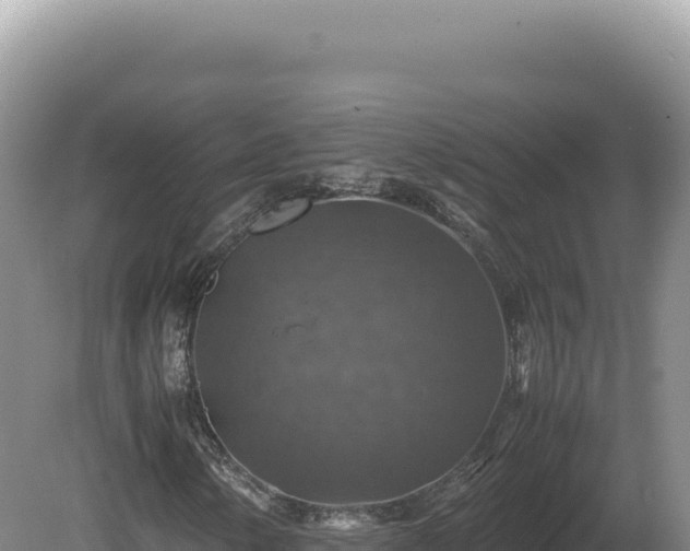 X0000081471154200701191758