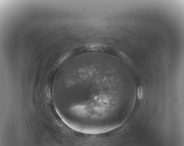 X0000081471155200701191758