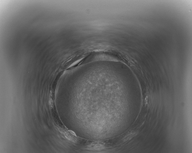 X0000081471156200701191758