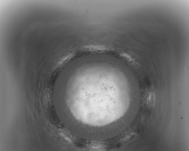 X0000081471157200701191758