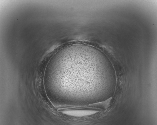 X0000081471159200701191758