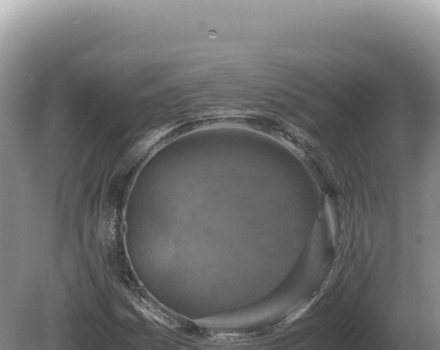 X0000081471161200701191758