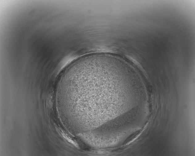 X0000081471163200701191758