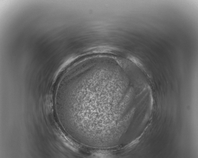 X0000081471164200701191758