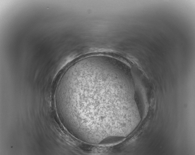 X0000081471165200701191758