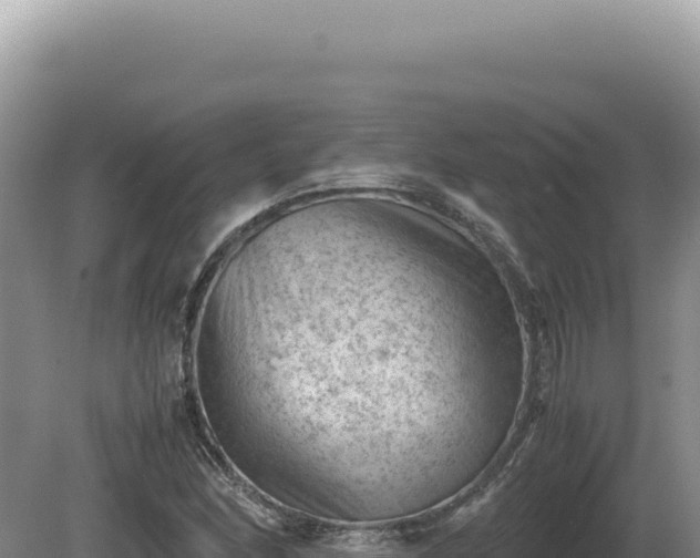 X0000081471166200701191758