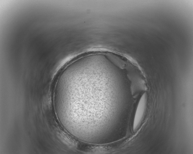 X0000081471167200701191758