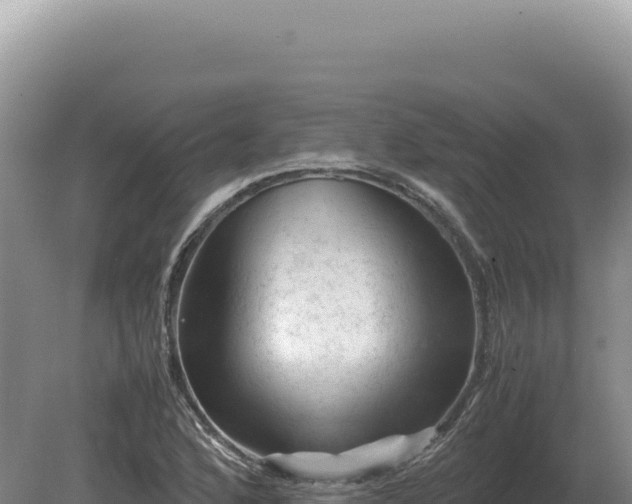 X0000081471168200701191758