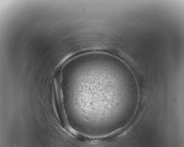 X0000081471169200701191758