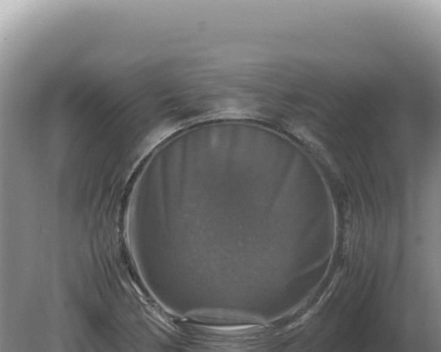 X0000081471170200701191758