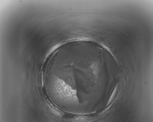 X0000081471171200701191758