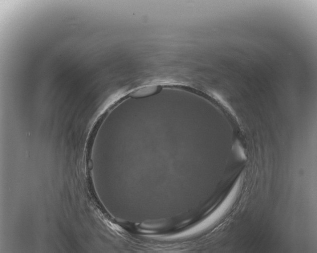 X0000081471173200701191758