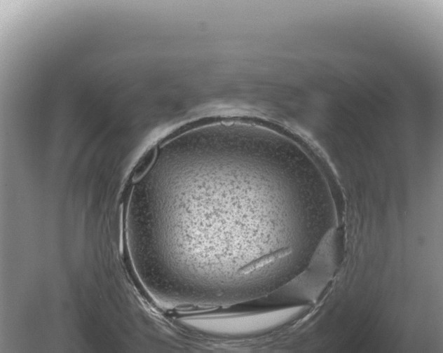 X0000081471175200701191758