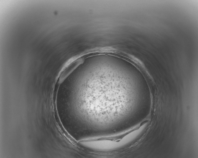 X0000081471176200701191758