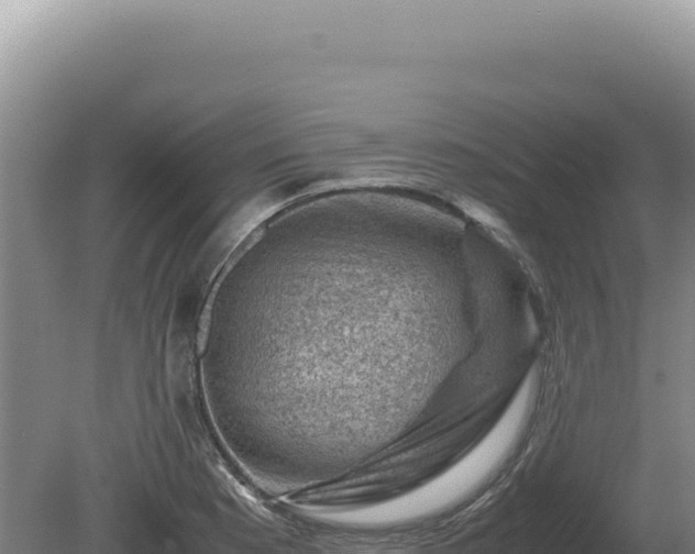 X0000081471177200701191758