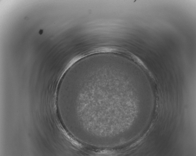 X0000081471178200701191758