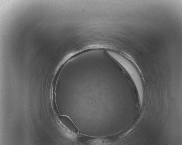 X0000081471179200701191758