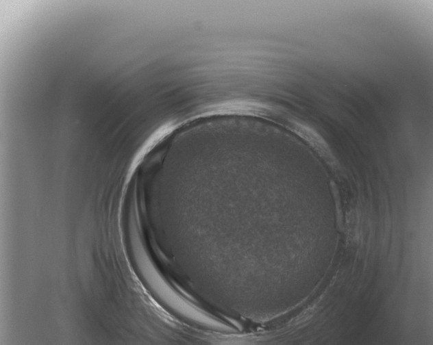 X0000081471180200701191758