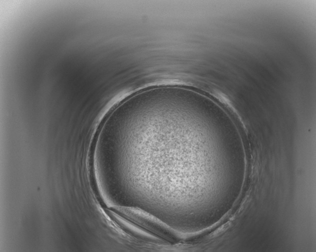 X0000081471181200701191758