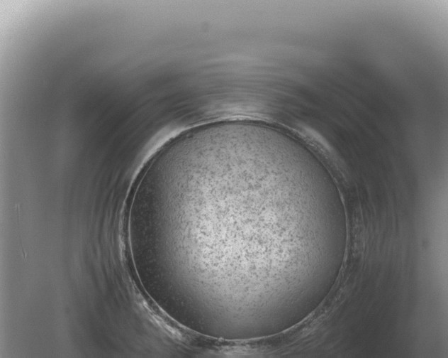 X0000081471182200701191758