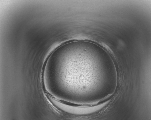 X0000081471183200701191758