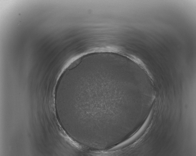 X0000081471184200701191758