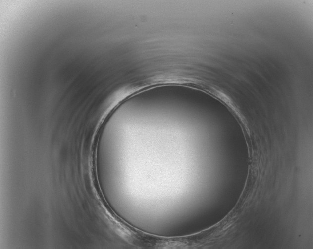 X0000081471187200701191758