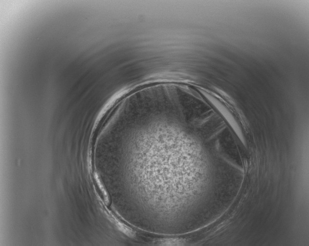 X0000081471188200701191758