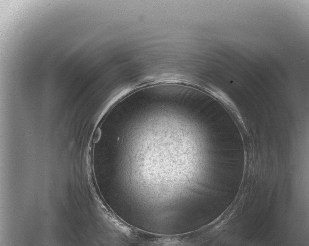 X0000081471190200701191758