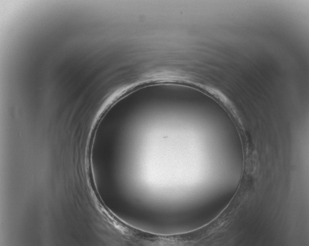 X0000081471191200701191758