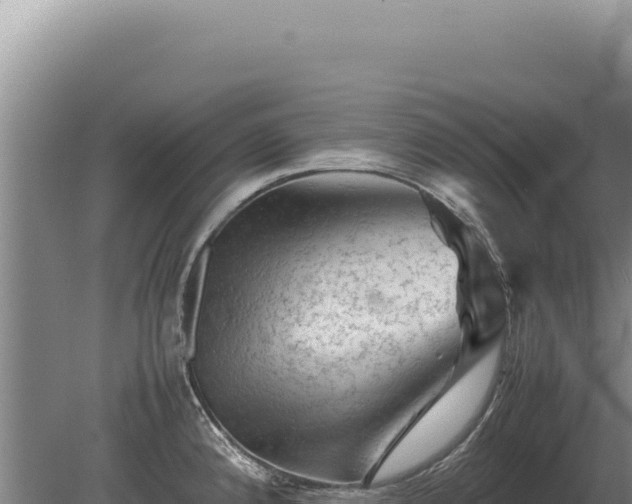 X0000081471192200701191758