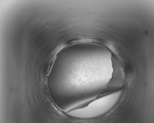 X0000081471193200701191758