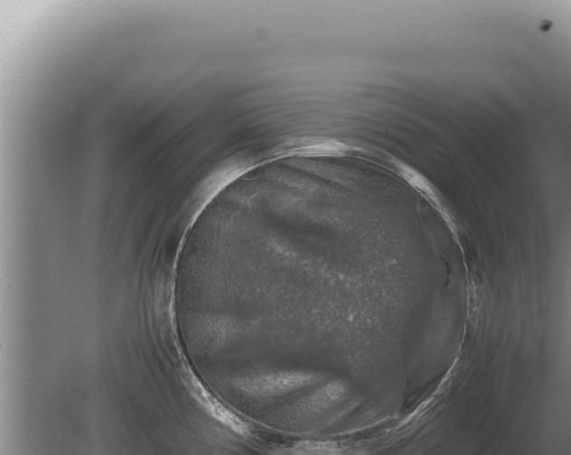 X0000081471194200701191758