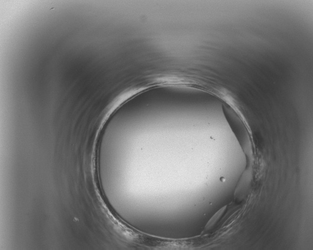 X0000081471195200701191758