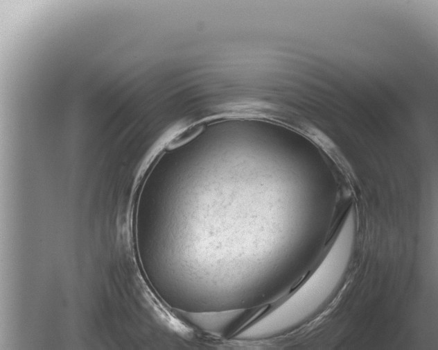 X0000081471196200701191758