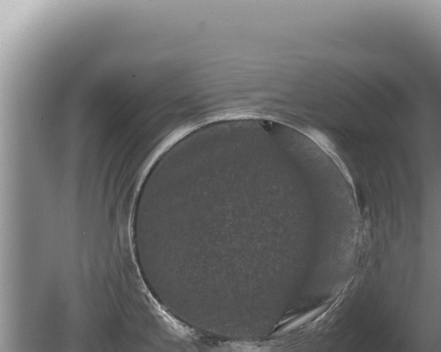 X0000081471197200701191757