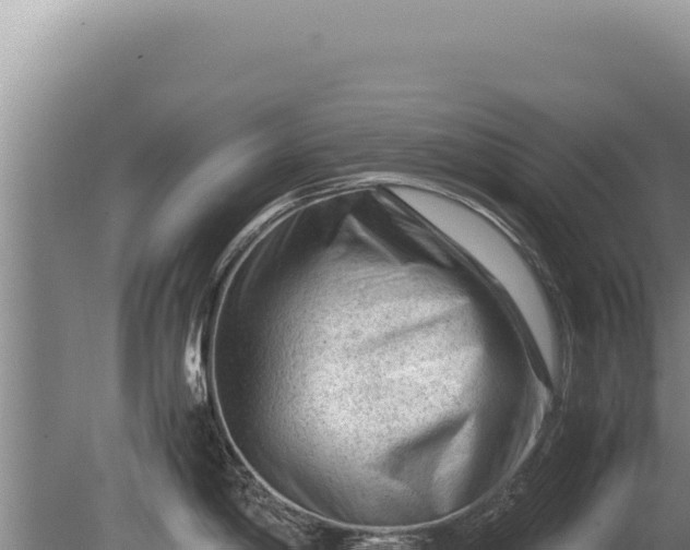 X0000081471198200701191757