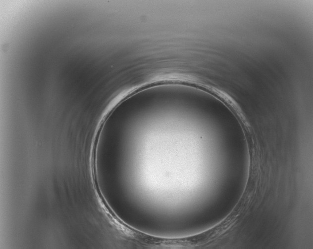 X0000081471199200701191757