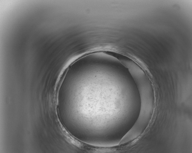 X0000081471200200701191757