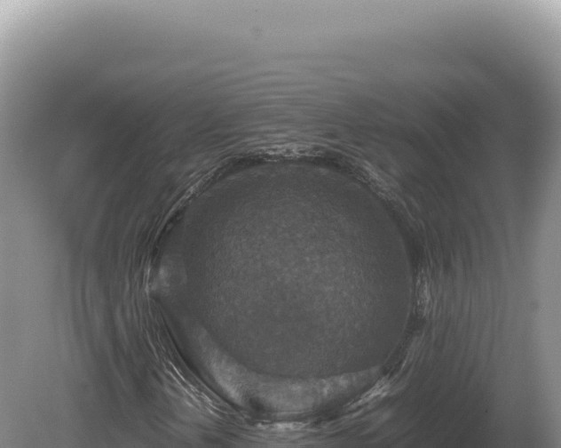 X0000081471202200701191757