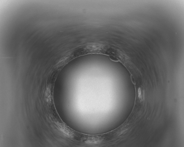 X0000081471203200701191757