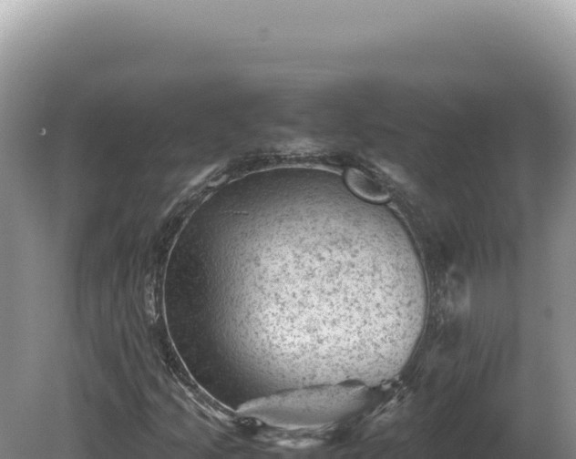 X0000081471205200701191757