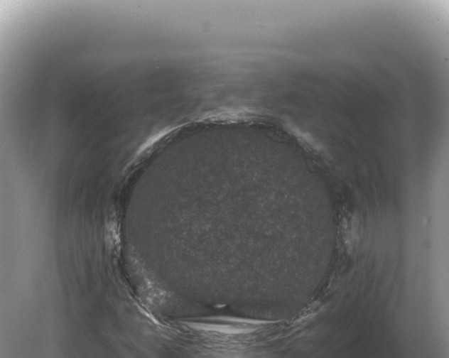 X0000081471206200701191757