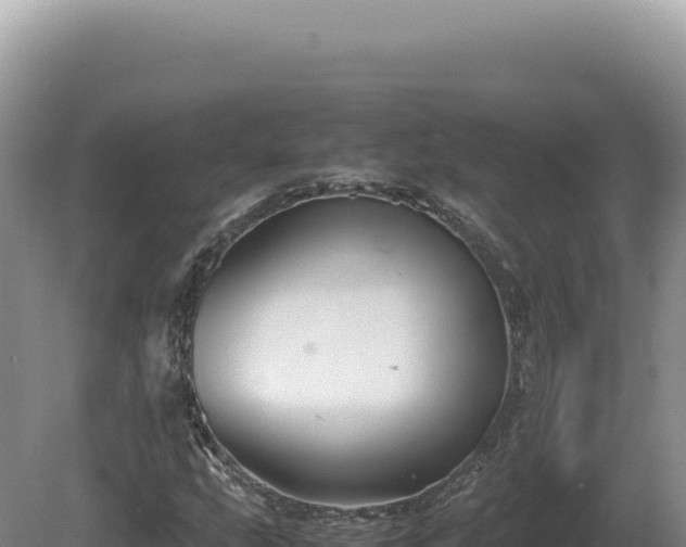 X0000081471207200701191757