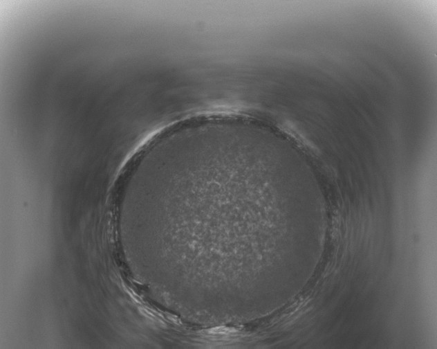 X0000081471208200701191757