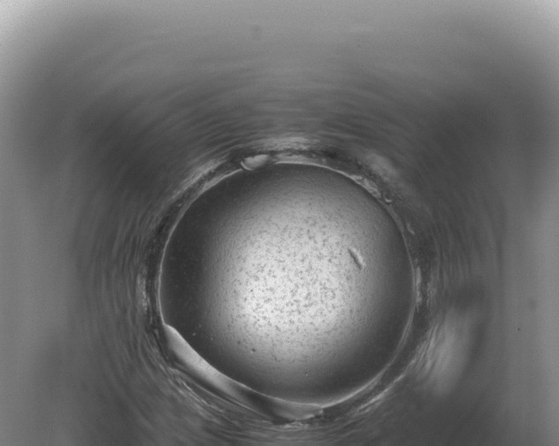 X0000081471209200701191757