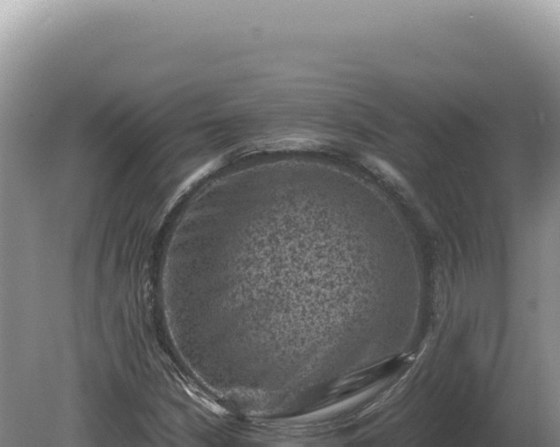 X0000081471210200701191757