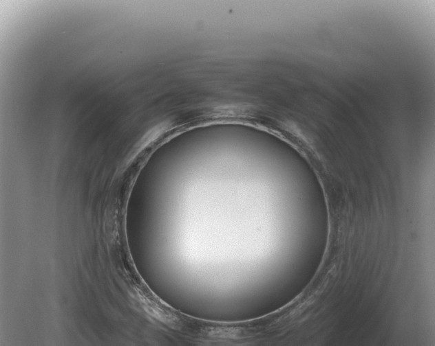 X0000081471211200701191757