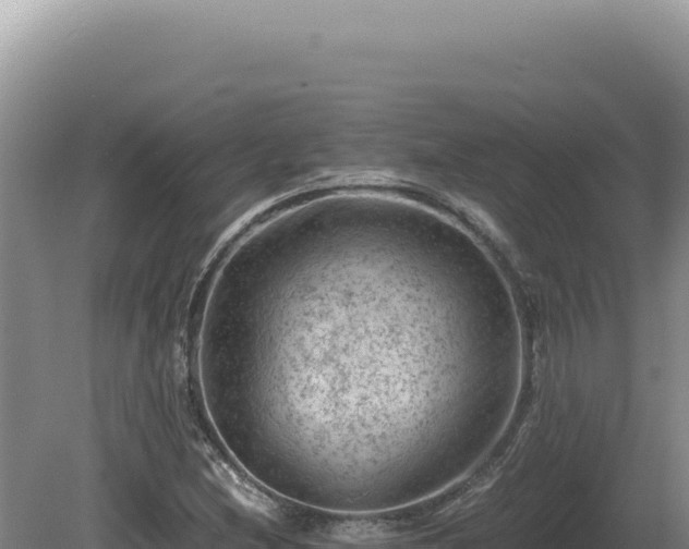 X0000081471212200701191757